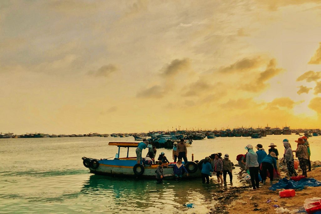 Top 5 chợ hải sản Cô Tô đi hoài không biết chán