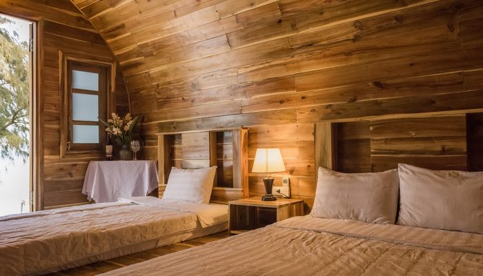 Khám phá rừng chõi Cô Tô - miền đất bình yên