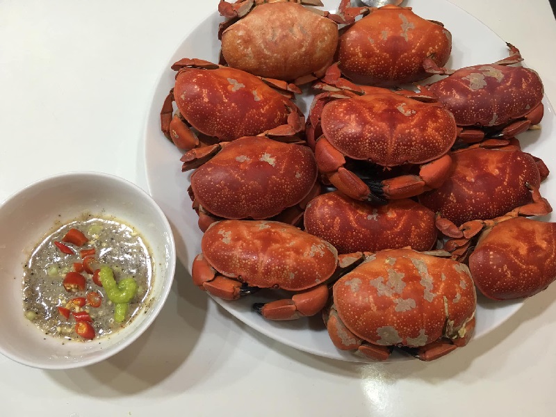 Khám phá biển Trà Cổ Móng Cái - Bờ biển đẹp nhất Quảng Ninh