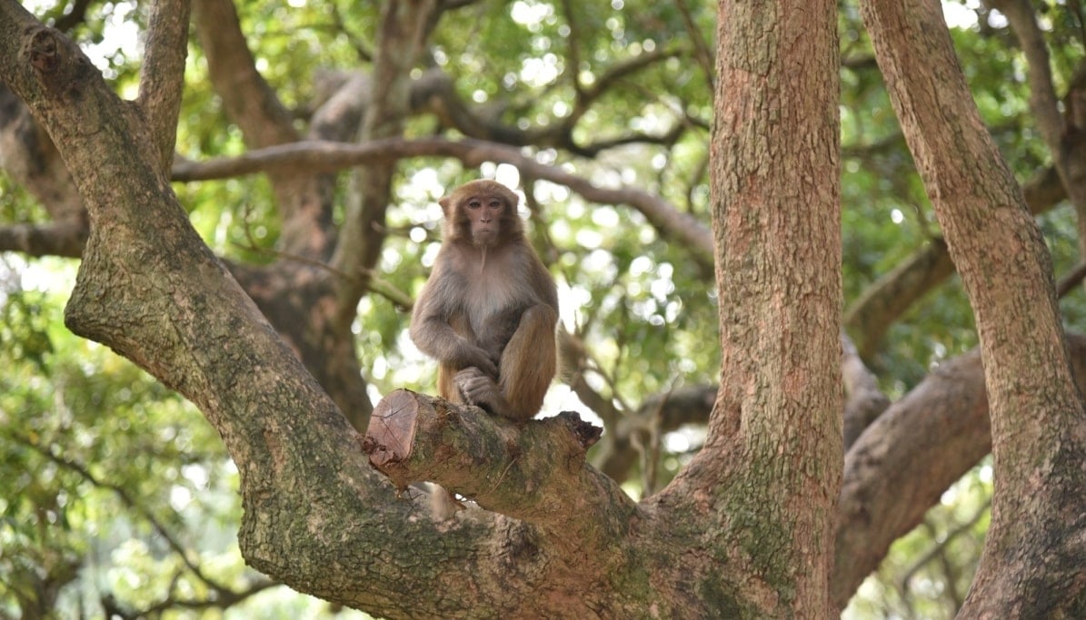 Top 9 Địa Điểm Du Lịch Cẩm Phả Quảng Ninh Hút Khách Nhất