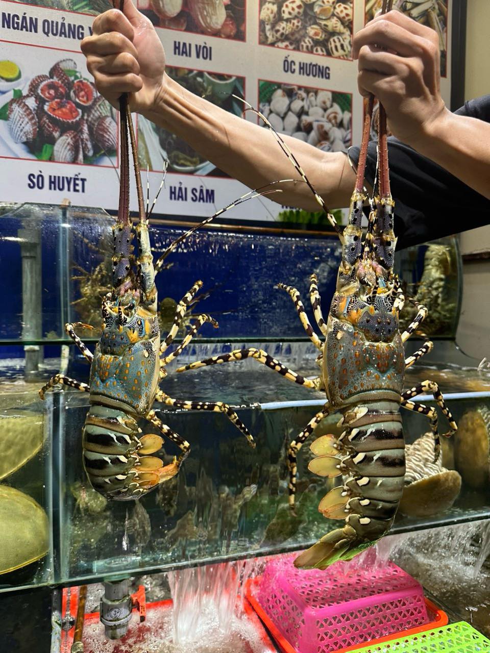 Top 10 Quán Ăn Ngon Cẩm Phả Quảng Ninh Nổi Tiếng Nhất 