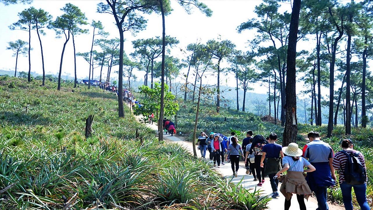 Kinh nghiệm khám phá chùa Lôi Âm Quảng Ninh chi tiết