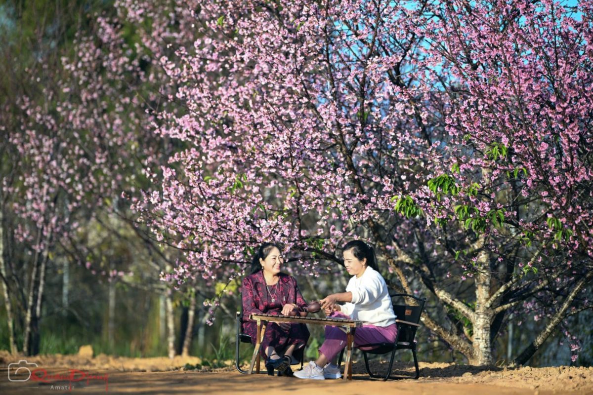 Top 8 lễ hội Quảng Ninh linh thiêng nổi tiếng tại đất mỏ