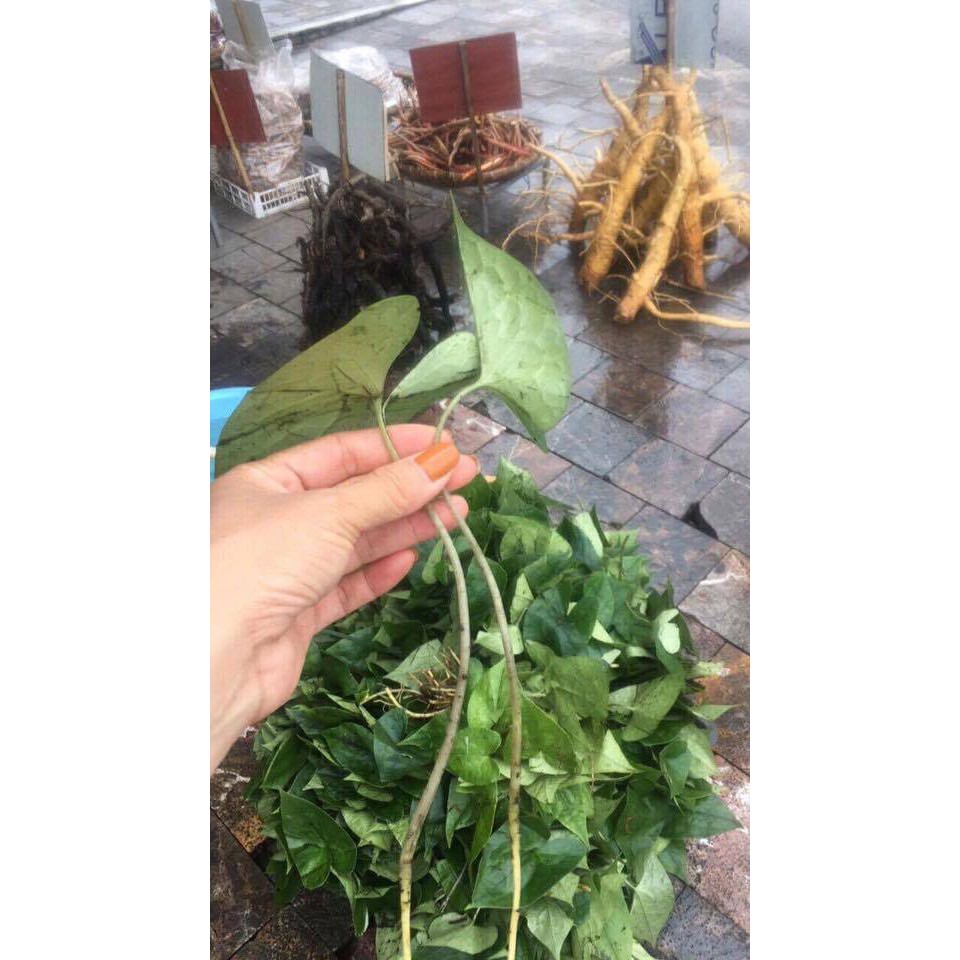 Khám phá lễ hội Yên Tử linh thiêng thu hút du khách thập phương