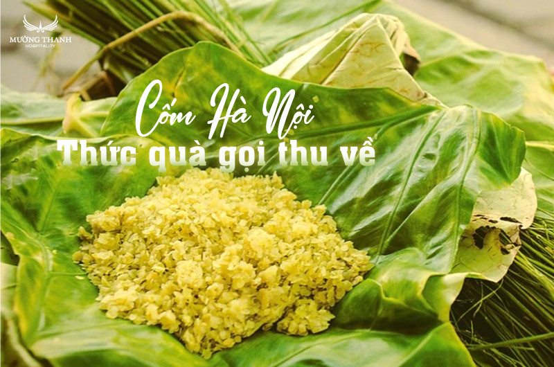 Chùa Một Cột - Kiến trúc tâm linh ấn tượng của thủ đô Hà Nội