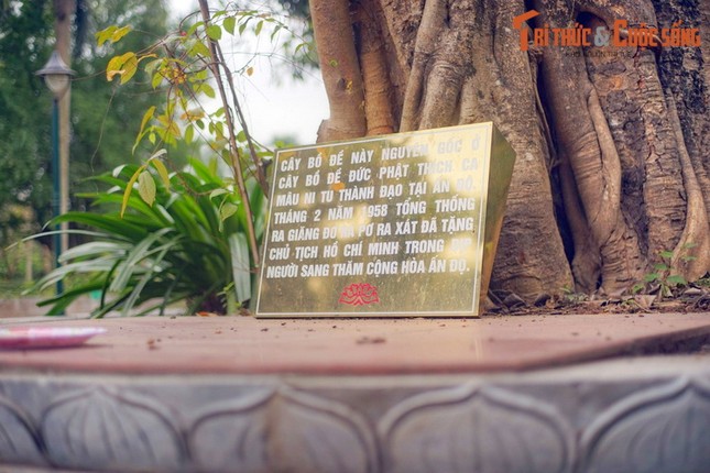 Chùa Một Cột - Kiến trúc tâm linh ấn tượng của thủ đô Hà Nội