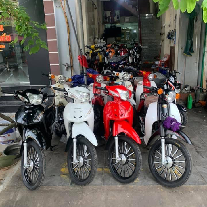 Top 10 địa chỉ thuê xe máy uy tín tại Cô Tô giá cả hợp lý