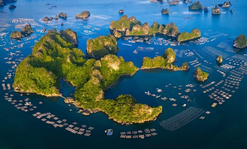 Đặc khu Vân Đồn Quảng Ninh – Tiềm năng và cơ hội đầu tư bứt phá