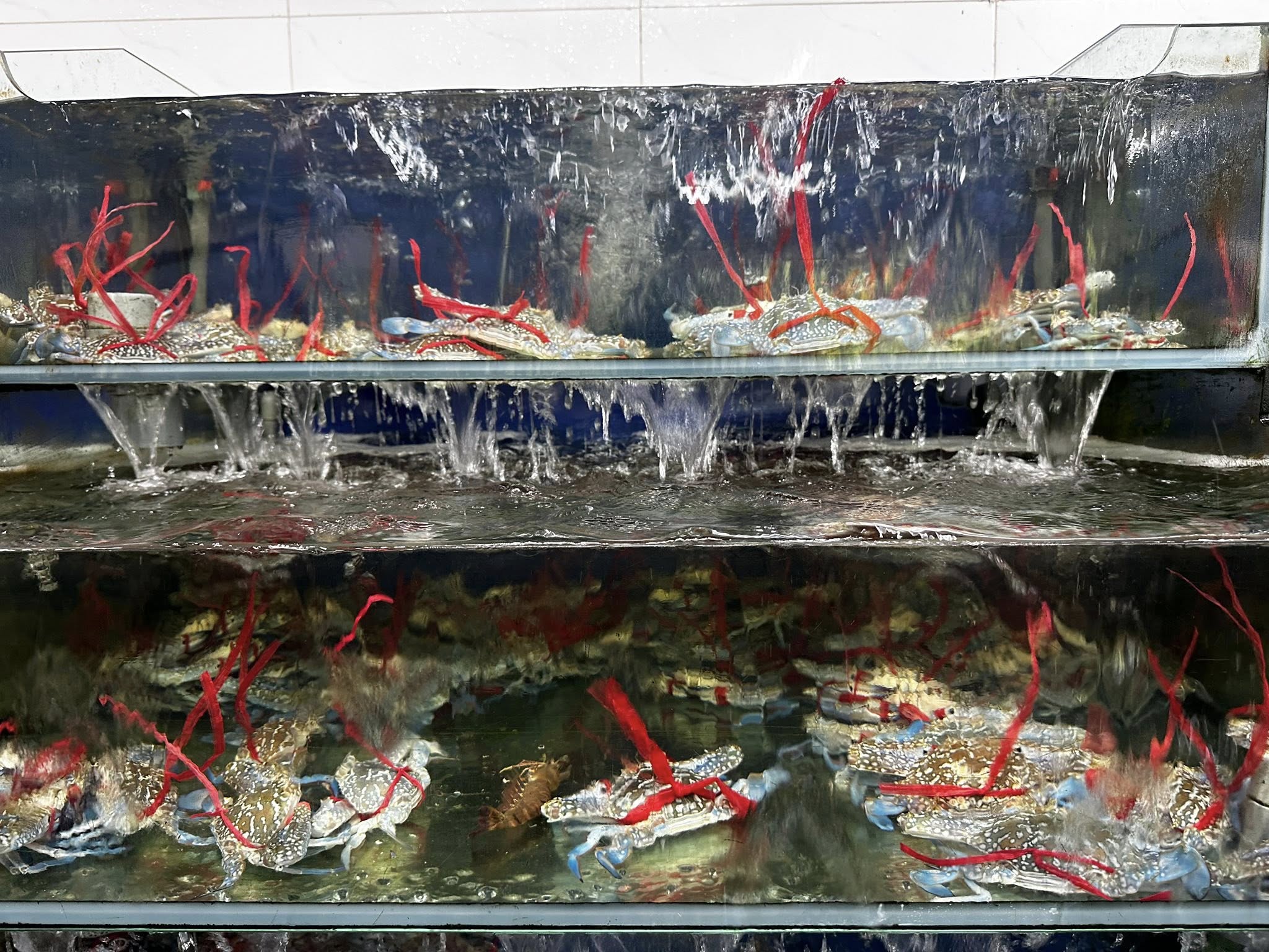 Top 10 nhà hàng ngon gần Sonasea Vân Đồn Quảng Ninh được yêu thích