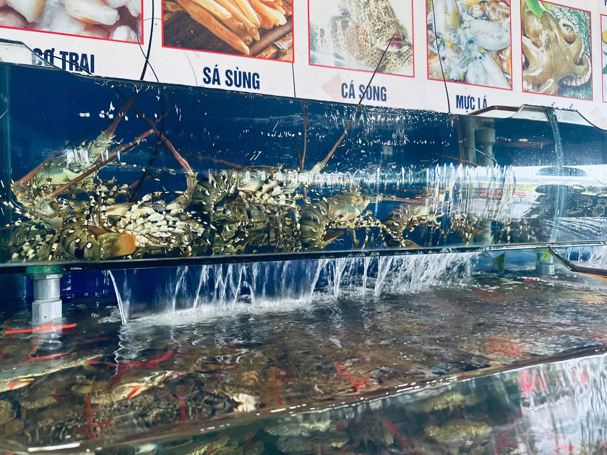 Top 10 nhà hàng ngon gần Sonasea Vân Đồn Quảng Ninh được yêu thích